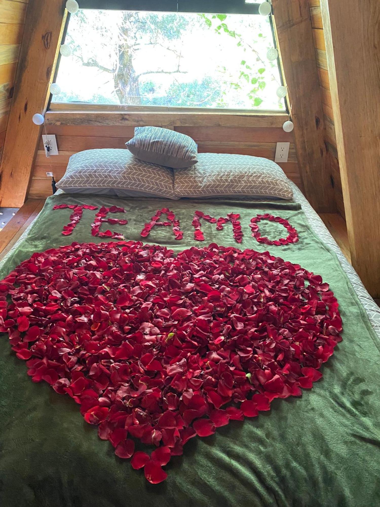 Cabanas Alpina, Romantica Y Acogedora A 10 Minutos Del Centro Tepoztlán Exteriér fotografie