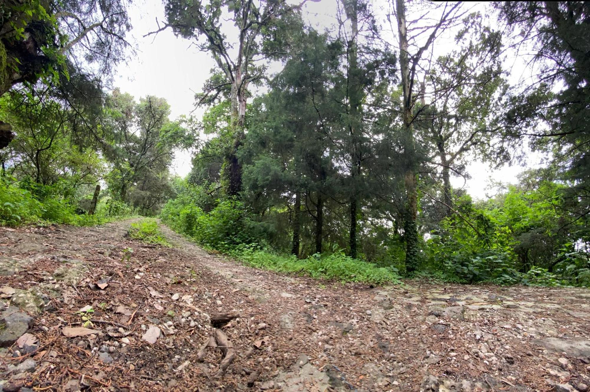 Cabanas Alpina, Romantica Y Acogedora A 10 Minutos Del Centro Tepoztlán Exteriér fotografie