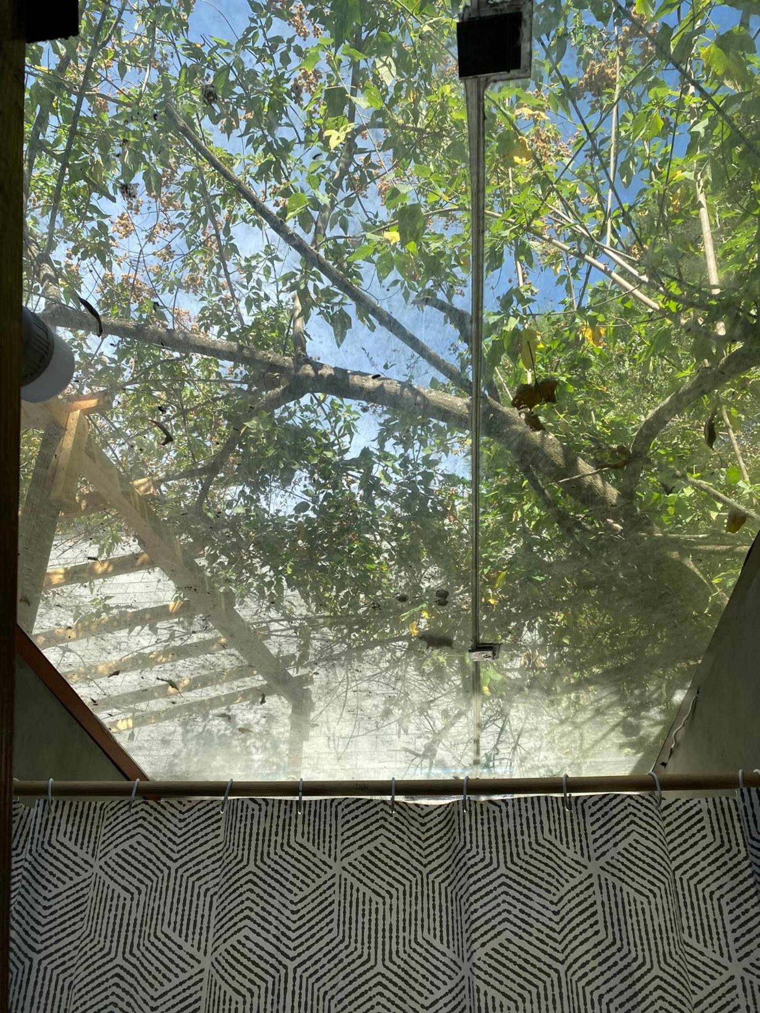 Cabanas Alpina, Romantica Y Acogedora A 10 Minutos Del Centro Tepoztlán Exteriér fotografie