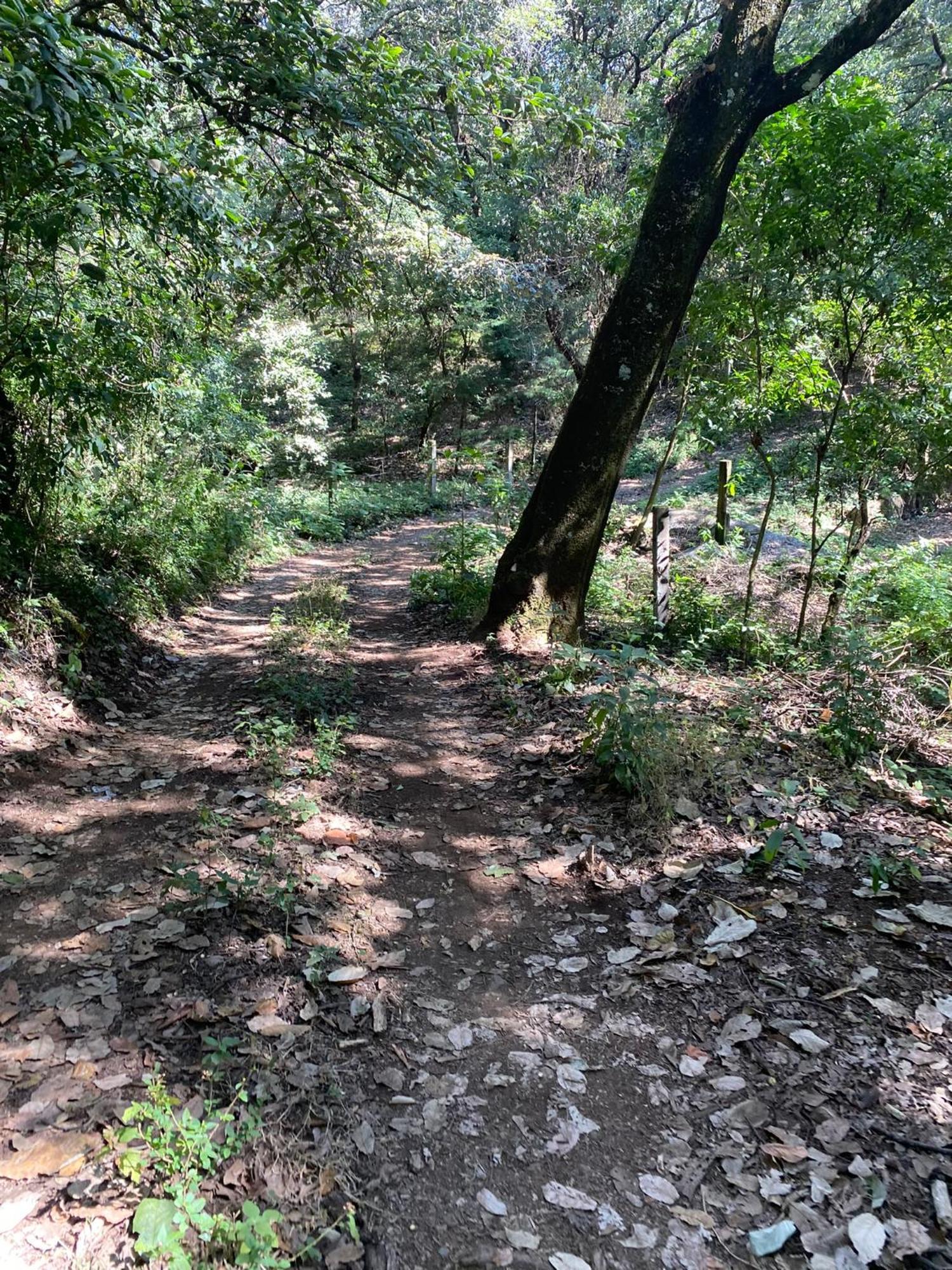 Cabanas Alpina, Romantica Y Acogedora A 10 Minutos Del Centro Tepoztlán Exteriér fotografie